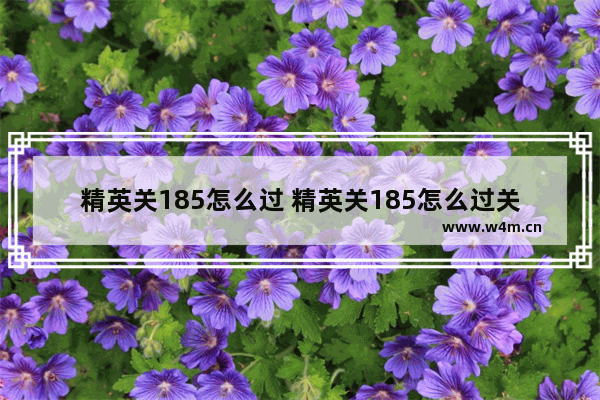 精英关185怎么过 精英关185怎么过关