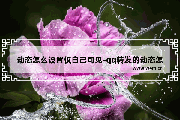 动态怎么设置仅自己可见-qq转发的动态怎么设置仅自己可见