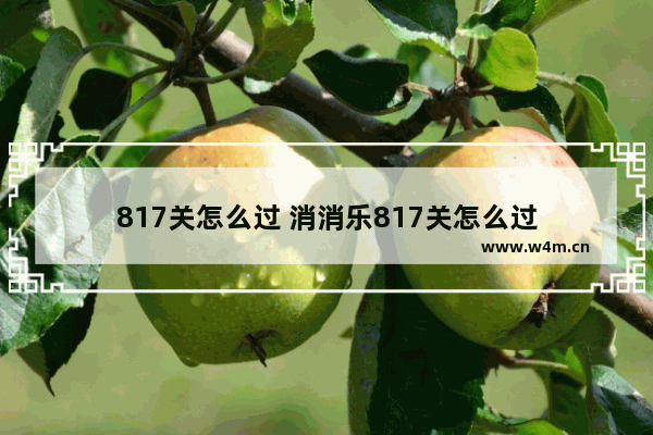 817关怎么过 消消乐817关怎么过