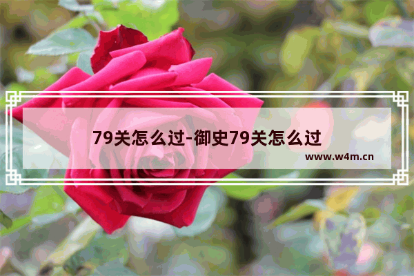 79关怎么过-御史79关怎么过