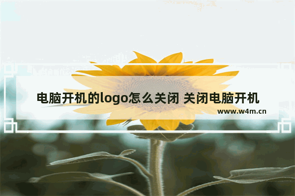 电脑开机的logo怎么关闭 关闭电脑开机logo的简单方法