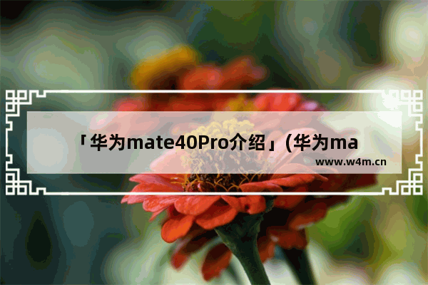 「华为mate40Pro介绍」(华为mate40pro介绍话术)