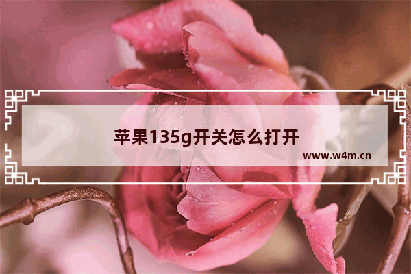 苹果135g开关怎么打开