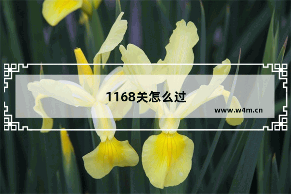 1168关怎么过