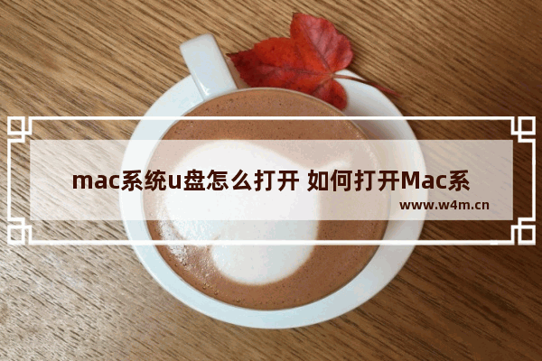 mac系统u盘怎么打开 如何打开Mac系统的U盘？