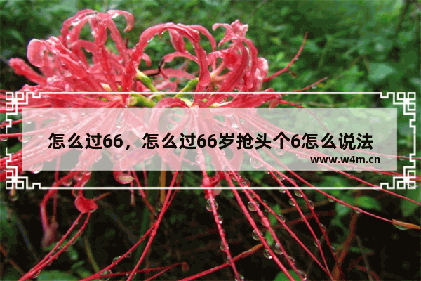 怎么过66，怎么过66岁抢头个6怎么说法