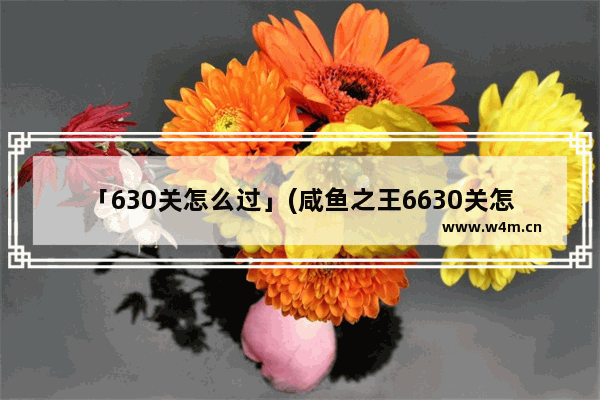 「630关怎么过」(咸鱼之王6630关怎么过的)