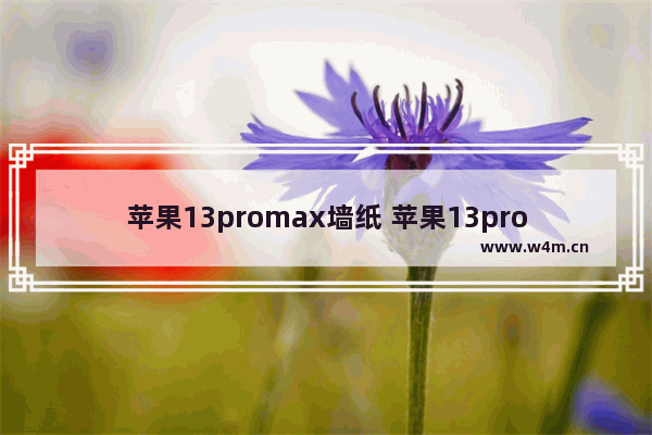 苹果13promax墙纸 苹果13promax墙纸怎么删除