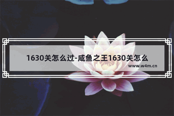 1630关怎么过-咸鱼之王1630关怎么过