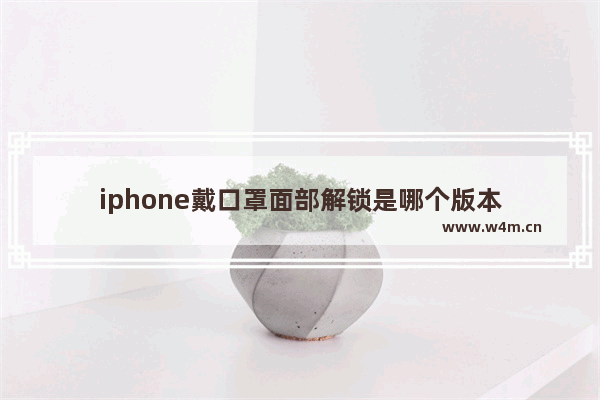 iphone戴口罩面部解锁是哪个版本