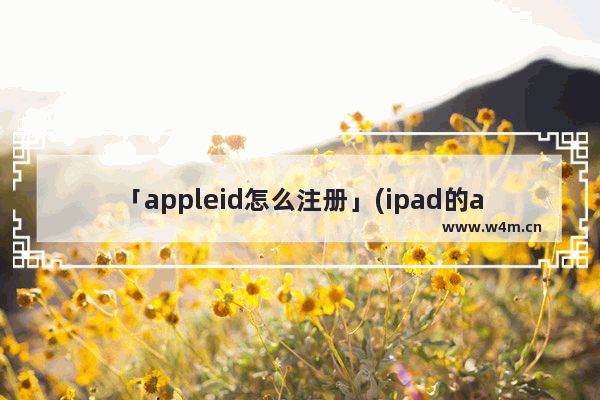 「appleid怎么注册」(ipad的appleid怎么注册)