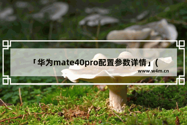 「华为mate40pro配置参数详情」(华为mate40pro配置参数详情怎么查看)