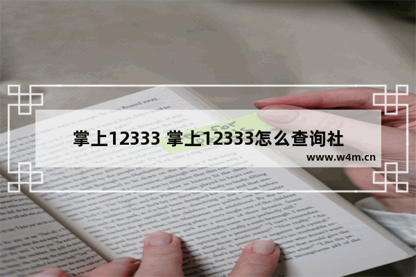 掌上12333 掌上12333怎么查询社保缴费记录