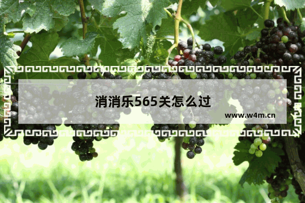 消消乐565关怎么过