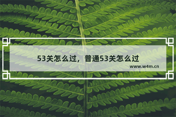 53关怎么过，普通53关怎么过