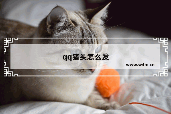 qq猪头怎么发