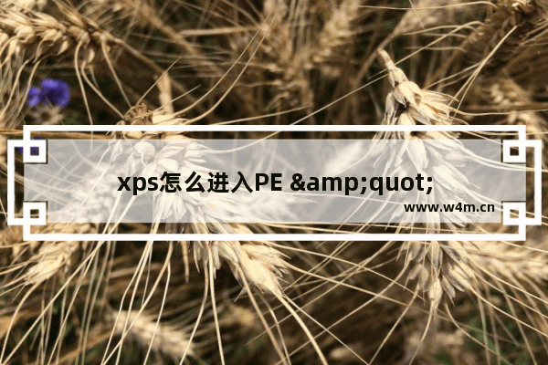 xps怎么进入PE "如何进入xps的PE系统"