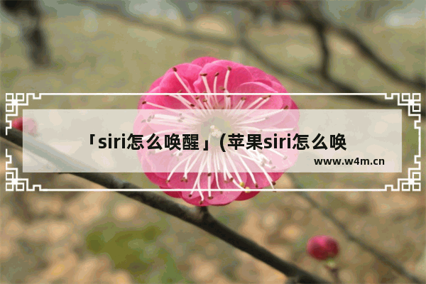 「siri怎么唤醒」(苹果siri怎么唤醒录不上)