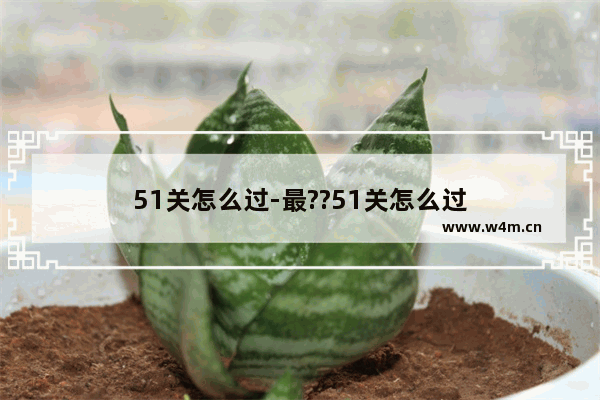 51关怎么过-最??51关怎么过