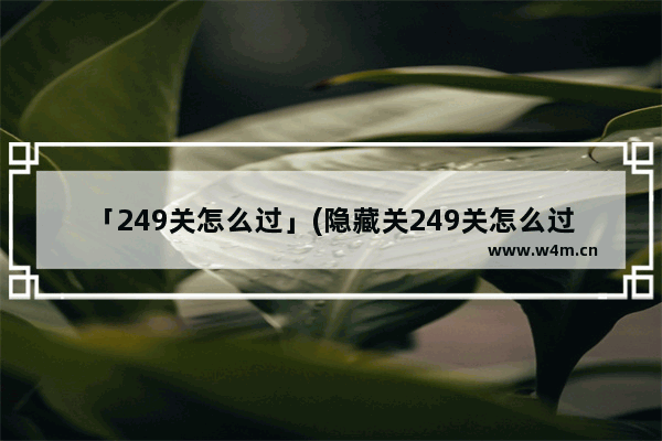 「249关怎么过」(隐藏关249关怎么过关)