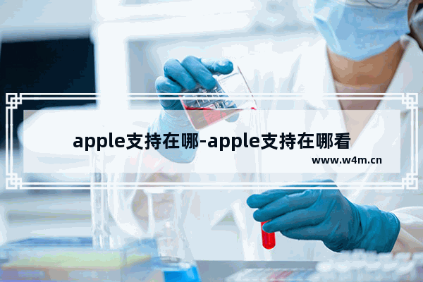 apple支持在哪-apple支持在哪看聊天记录