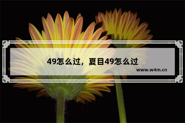 49怎么过，夏目49怎么过