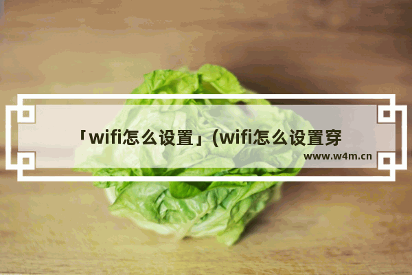 「wifi怎么设置」(wifi怎么设置穿墙)