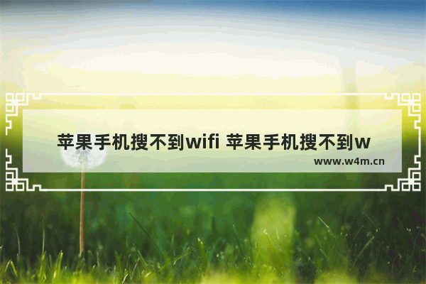 苹果手机搜不到wifi 苹果手机搜不到wifi安卓手机可以