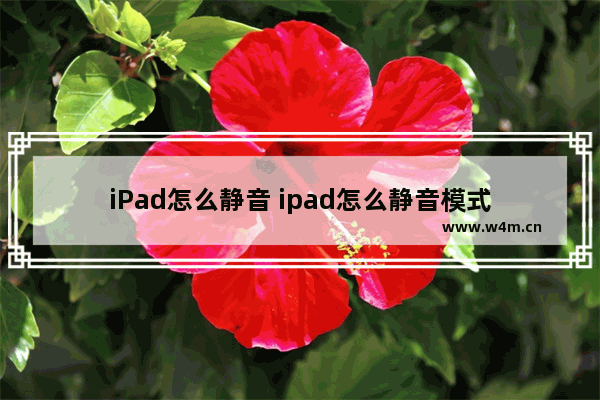 iPad怎么静音 ipad怎么静音模式