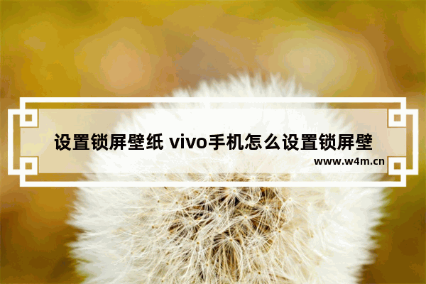 设置锁屏壁纸 vivo手机怎么设置锁屏壁纸不一样