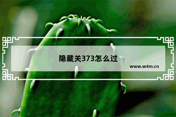 隐藏关373怎么过