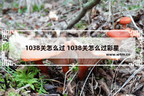 1038关怎么过 1038关怎么过彩星