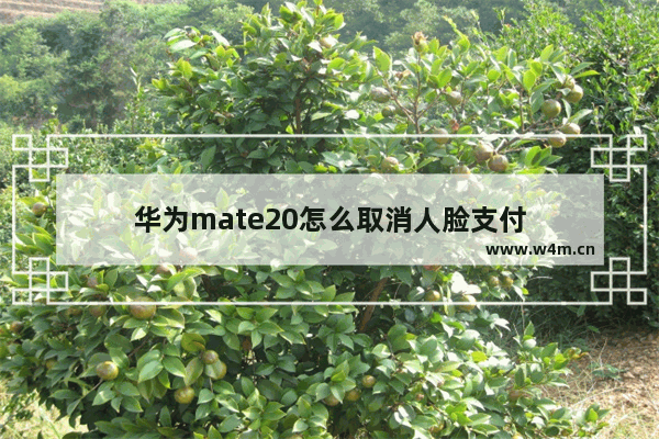 华为mate20怎么取消人脸支付