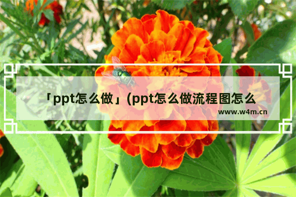 「ppt怎么做」(ppt怎么做流程图怎么设置位置)