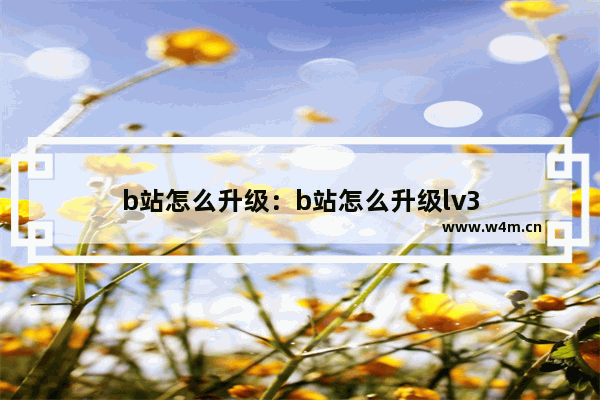 b站怎么升级：b站怎么升级lv3