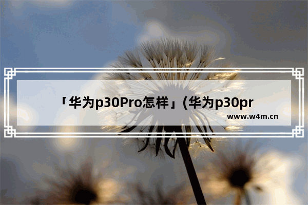 「华为p30Pro怎样」(华为p30pro怎样设置时间在屏幕上)