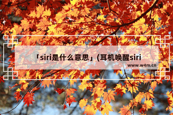 「siri是什么意思」(耳机唤醒siri是什么意思)