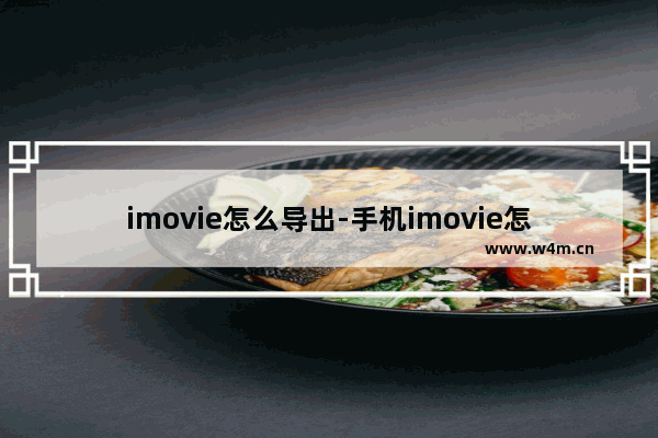 imovie怎么导出-手机imovie怎么导出音频