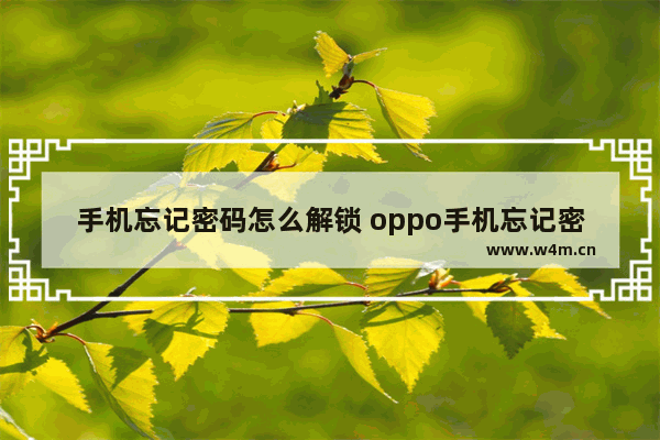 手机忘记密码怎么解锁 oppo手机忘记密码怎么解锁最简单方法