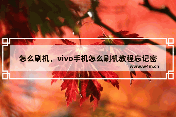 怎么刷机，vivo手机怎么刷机教程忘记密码