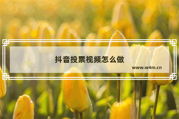 抖音投票视频怎么做