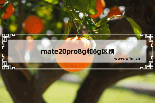 mate20pro8g和6g区别