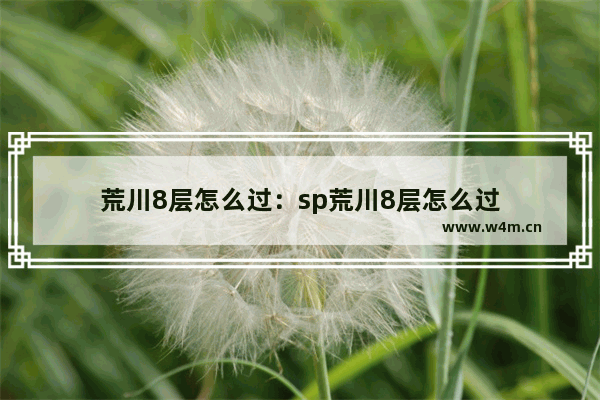 荒川8层怎么过：sp荒川8层怎么过