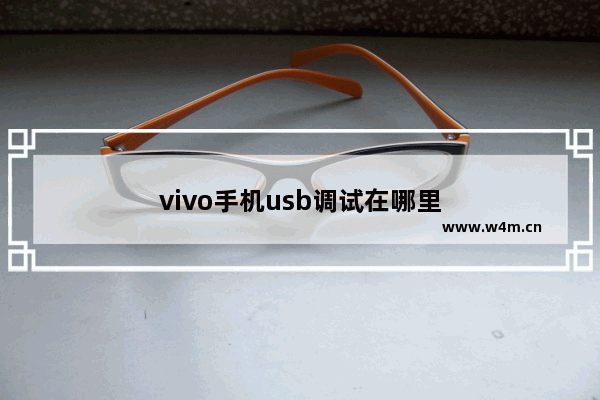 vivo手机usb调试在哪里