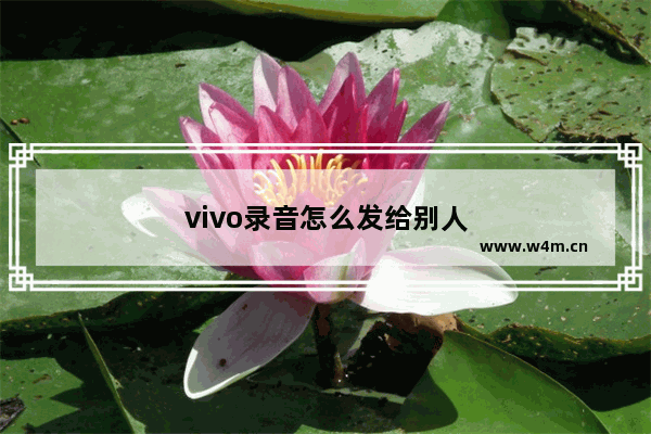 vivo录音怎么发给别人