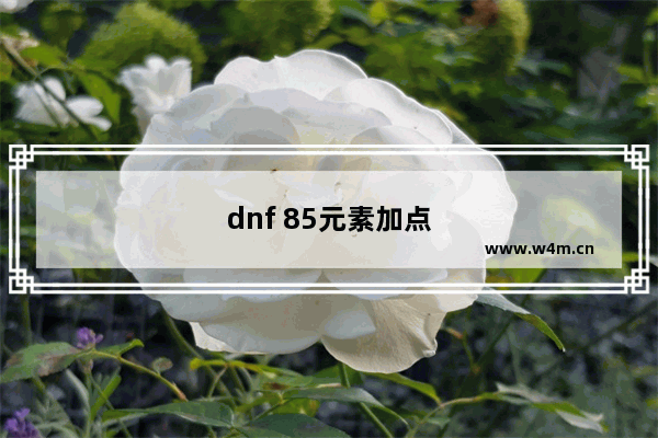 dnf 85元素加点