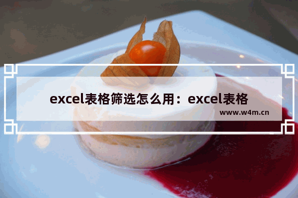 excel表格筛选怎么用：excel表格筛选怎么用以前的内容