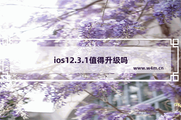 ios12.3.1值得升级吗