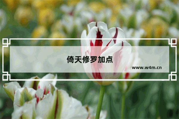 倚天修罗加点