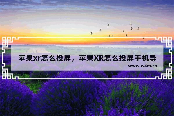 苹果xr怎么投屏，苹果XR怎么投屏手机导航